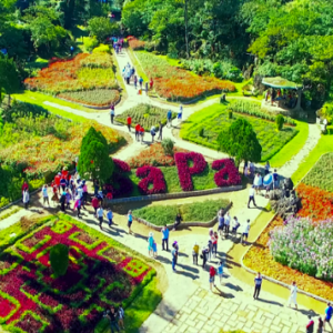 MB01: MÙA VÀNG TÂY BẮC SAPA - ĐIỆN BIÊN - MỘC CHÂU - MAI CHÂU